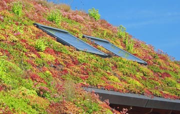 Codnor Gate living roof systems