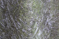 Codnor Gate fibreglass roof work